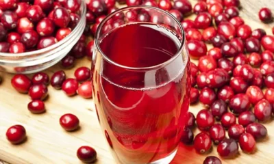 Male Testosterone Benefits from Cranberry Juice